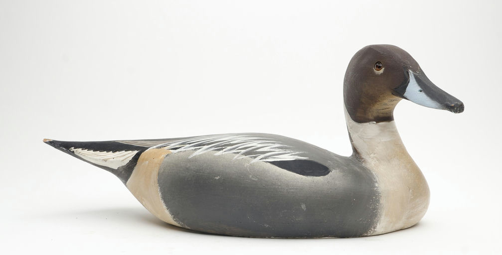 Ward Brothers – Pintail – 2026