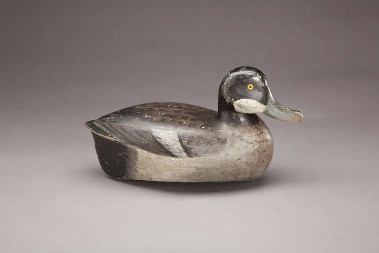 Jack Schwartz – Immature Bluebill – 2011