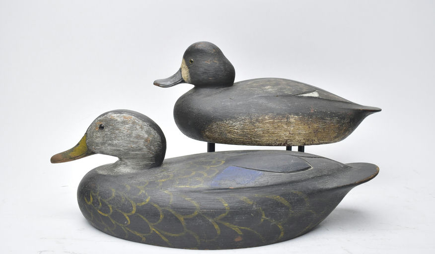 Ken Anger – Black Duck – 2025