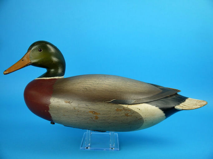 George Strunk – Mallard Drake – 2026