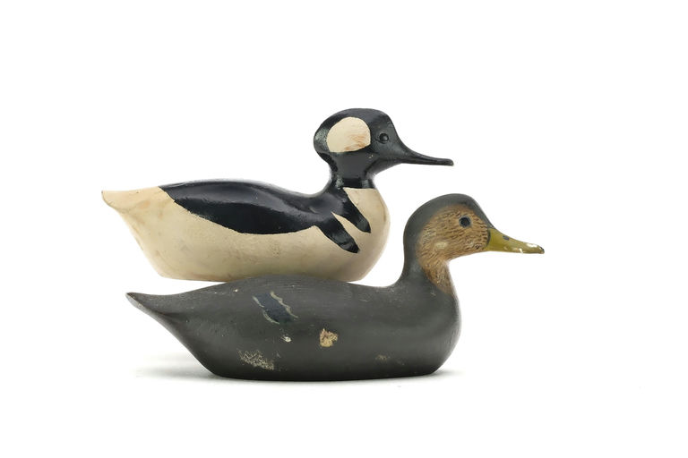 George Boyd – Hooded Merganser – 2025