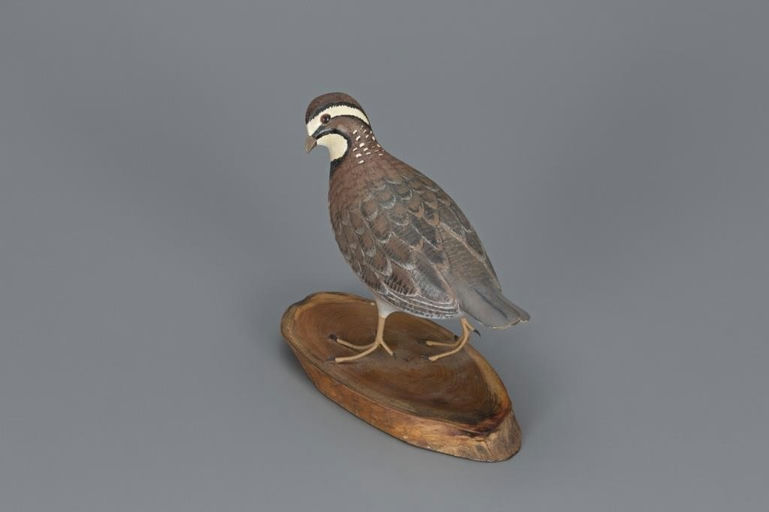 George Csefai – Bobwhite Quail – 2019