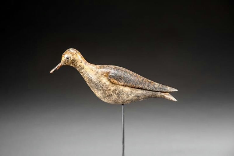 Joseph Lincoln – Golden Plover – 2016