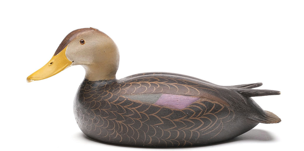 Ward Brothers – Black duck – 2026