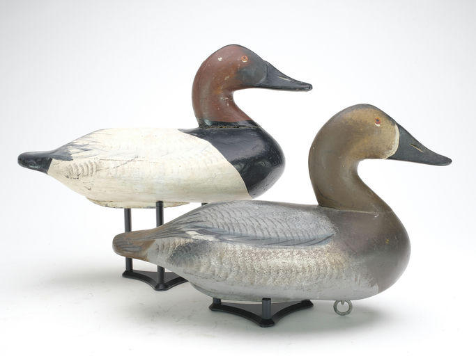 Henry Lockard – Canvasback – 2023