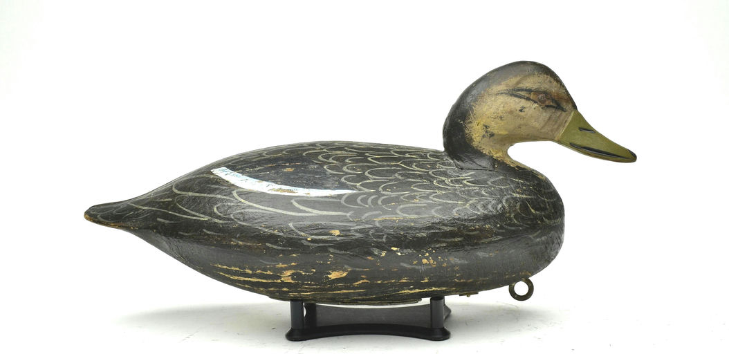 Ira Hudson – Black Duck – 2025