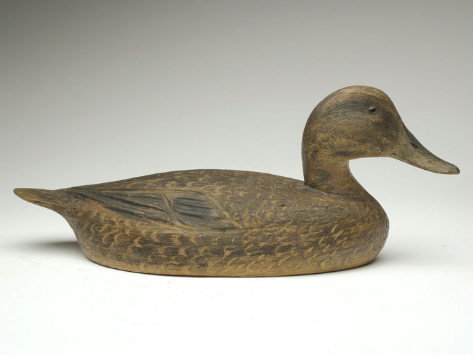Ben Schmidt – Pintail Hen – 2023