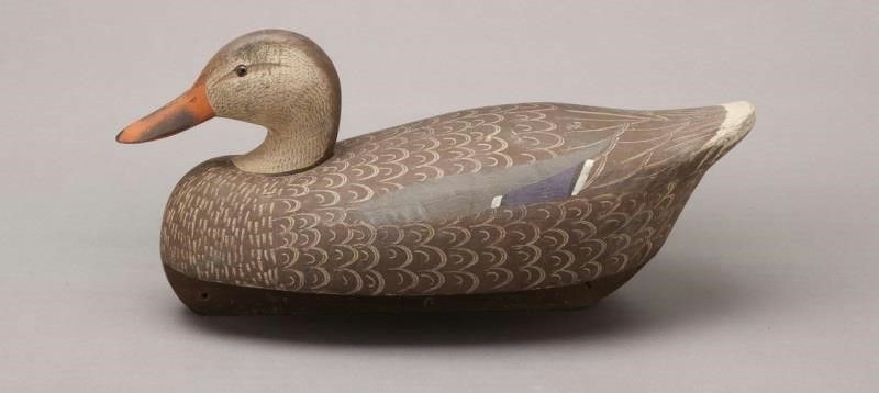 Ken Harris – Mallard Hen – 2011