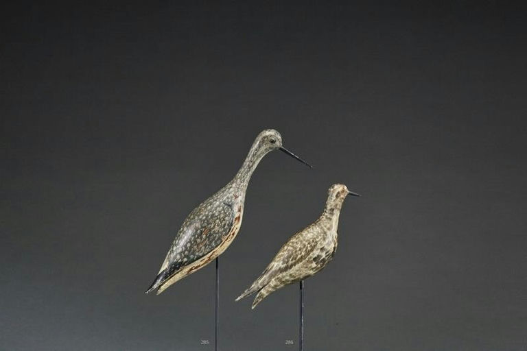 Joseph Lincoln – Golden Plover – 2017