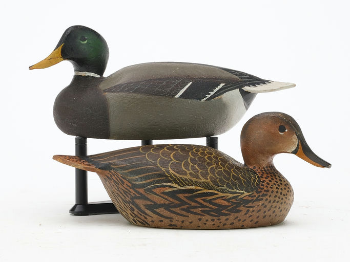 Ward Brothers – Pair of mallards – 2024