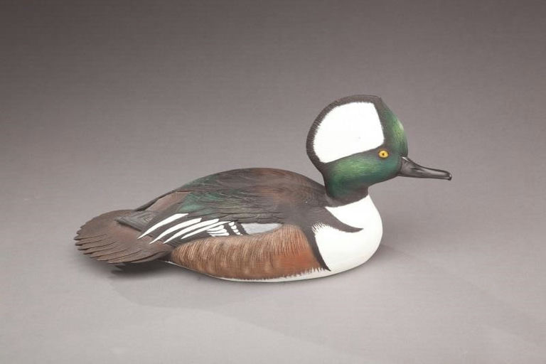 Jim Schmiedlin – Hooded Merganser Drake – 2012