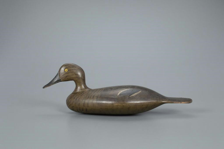 George Stevens – Pintail Hen – 2021