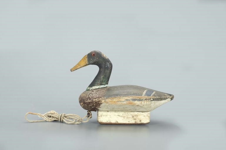 Joe Marr – Rare Mallard Drake – 2022