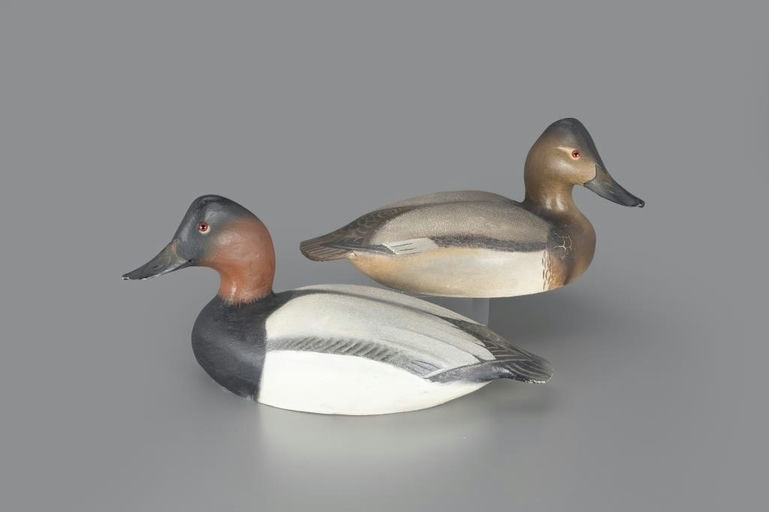 Ward Brothers – Canvasback Pair – 2024