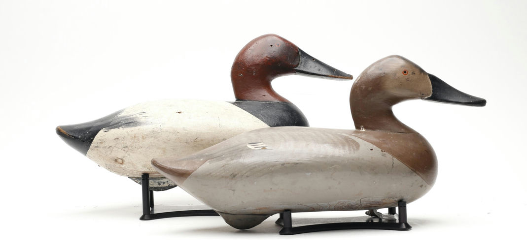 R. Madison Mitchell – Pair of Canvasback – 2026