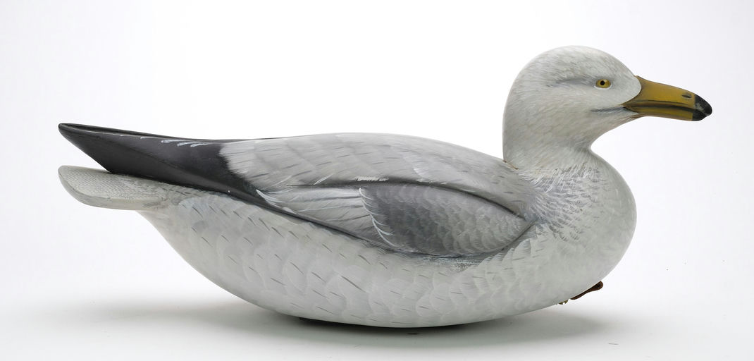 Sean Sutton – Herring Gull Decoy – 2024