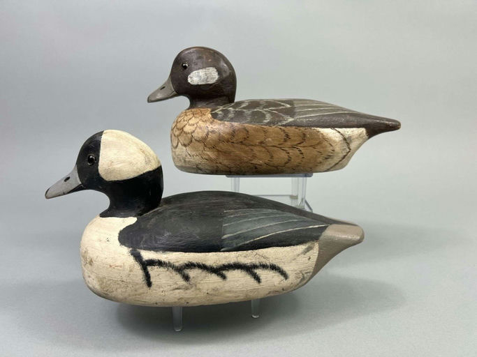 Lester Beattie — Bufflehead Duck