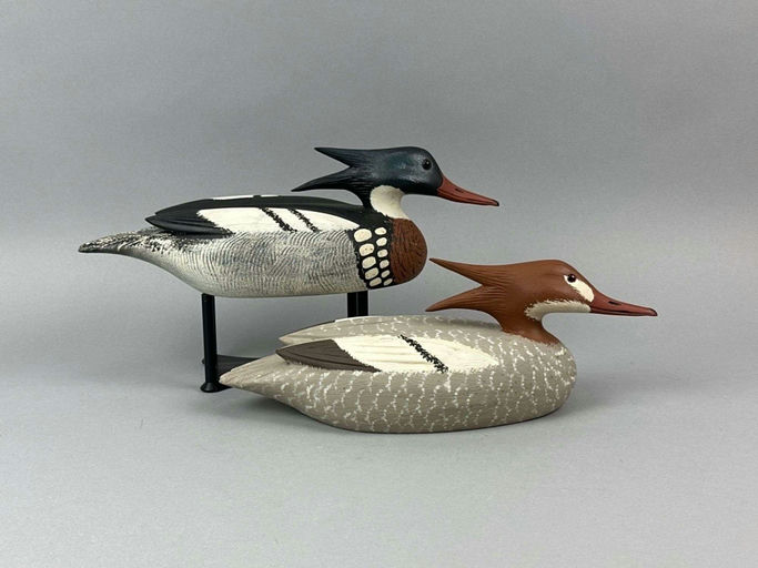 David Simandl – Red-Breasted Mergansers – 2026