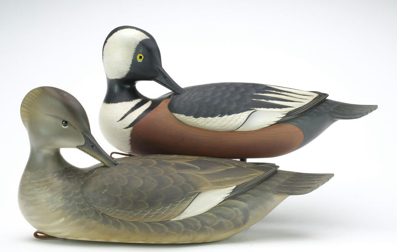 George Strunk – Pair of Hooded Merganser – 2024