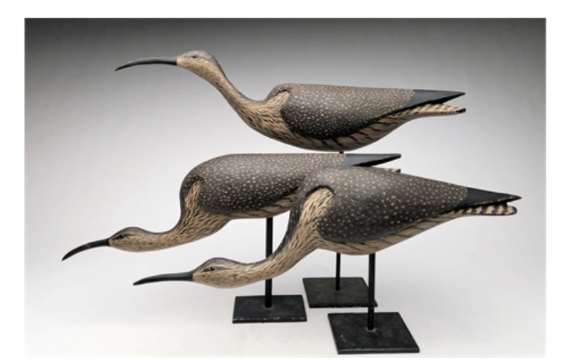 Grayson Chesser – Three Large Curlew – 2021