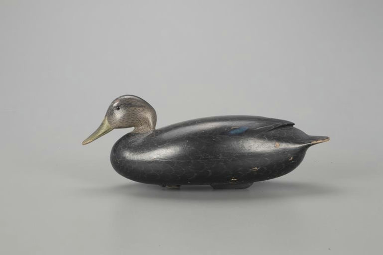 Joe King – Black Duck – 2022