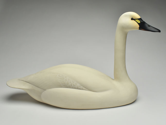 Oliver Lawson – Whistling Swan – 2023