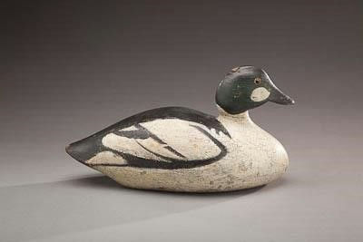 Lothrop Holmes – Goldeneye Drake – 2012
