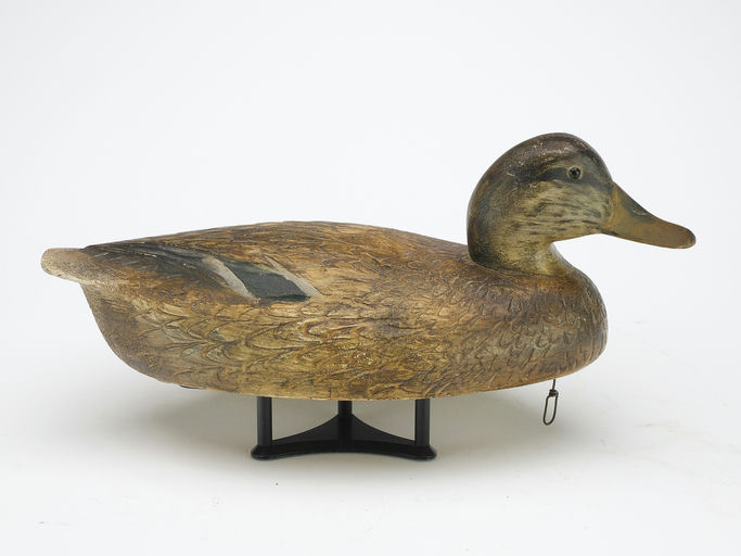 Ben Schmidt – Mallard Hen – 2024