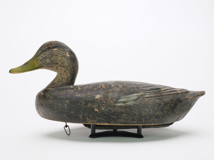 Ben Schmidt – Black Duck – 2024