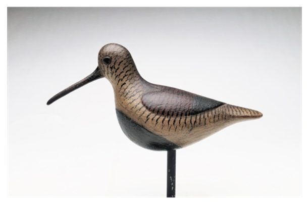 Mark McNair – Dunlin – 2021