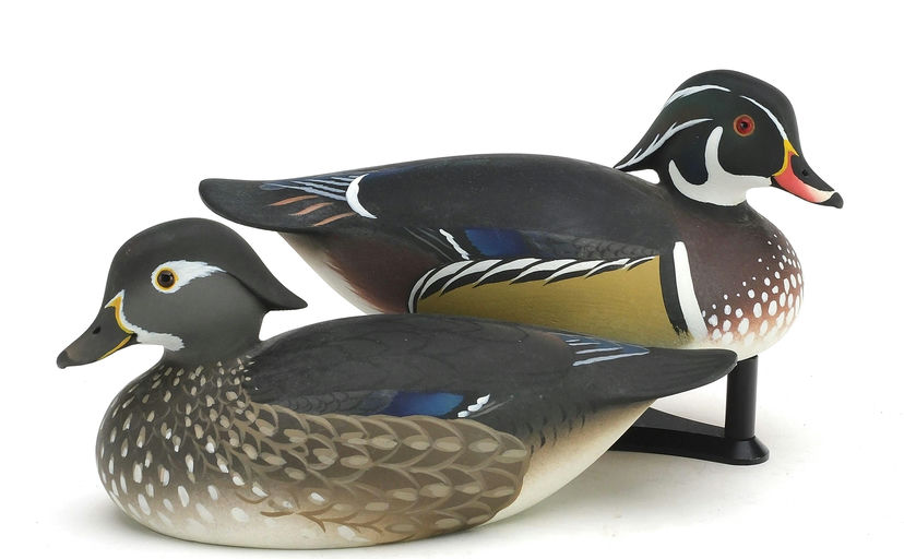 Oliver Lawson – Pair of Wood Duck – 2024
