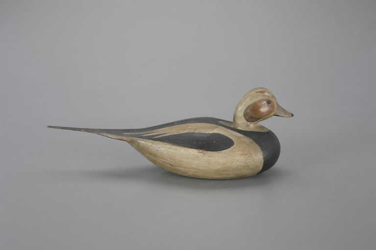 Mark McNair – Long-Tailed Drake – 2023