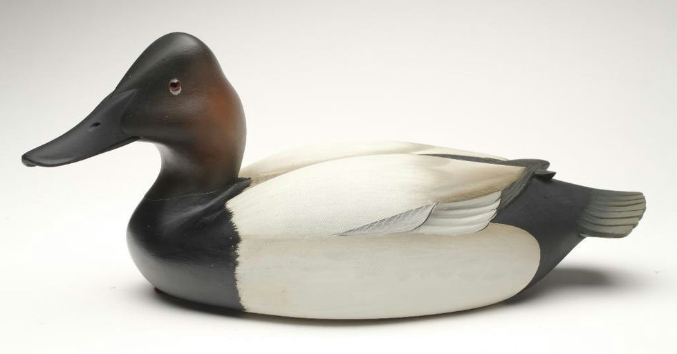 George Strunk – Canvasback – 2023