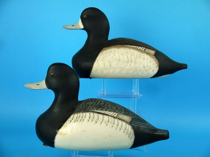 Art Birdsall – Broadbill Pair – 2026