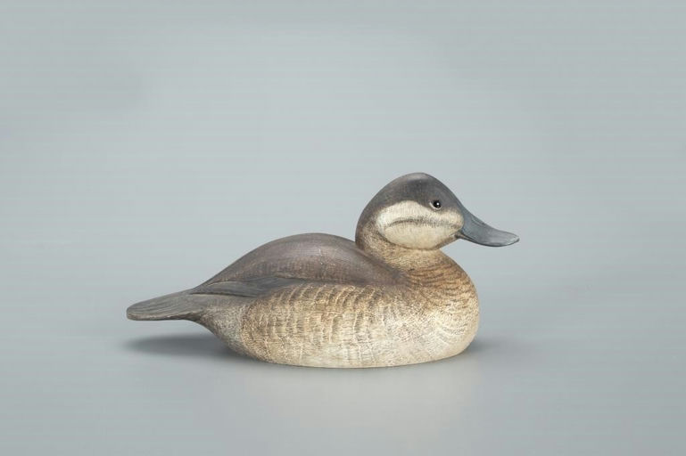 Al Glassford – Ruddy Duck – 2022