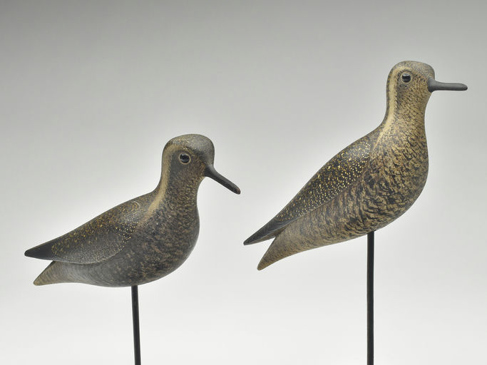 Mark McNair – Pair of Golden plover – 2023