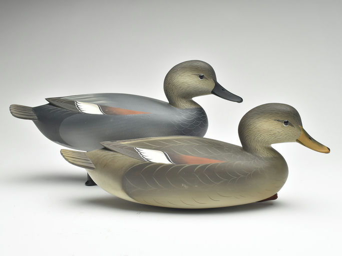 George Strunk – Pair of Gadwall – 2023