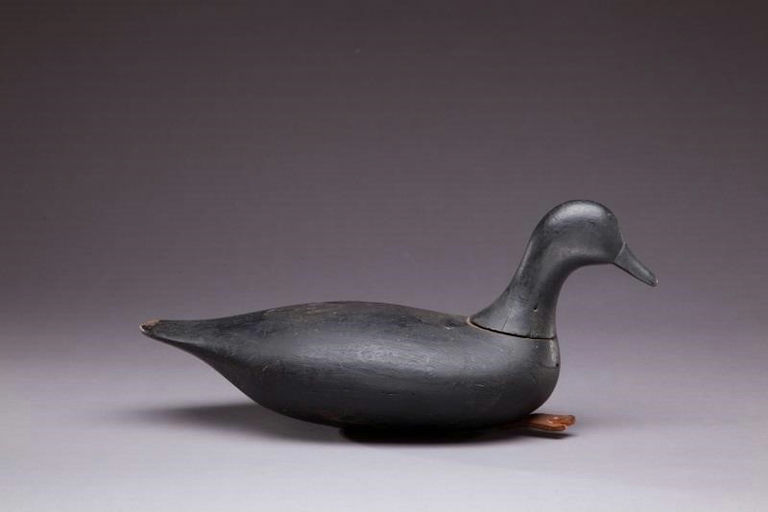 Verity Family – Root Head Brant – 2011