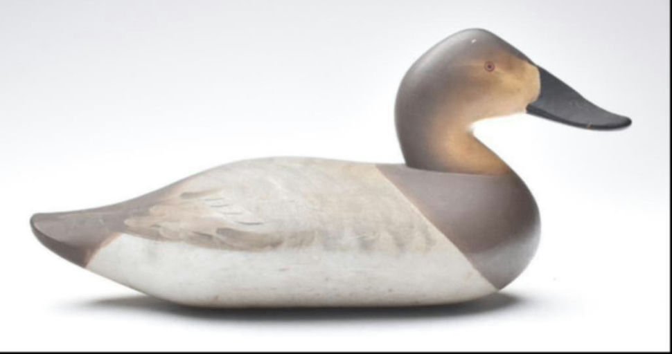 Charlie Joiner – Canvasback Hen – 2023