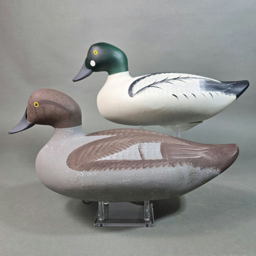 Jim Pierce – Goldeneye – 2026