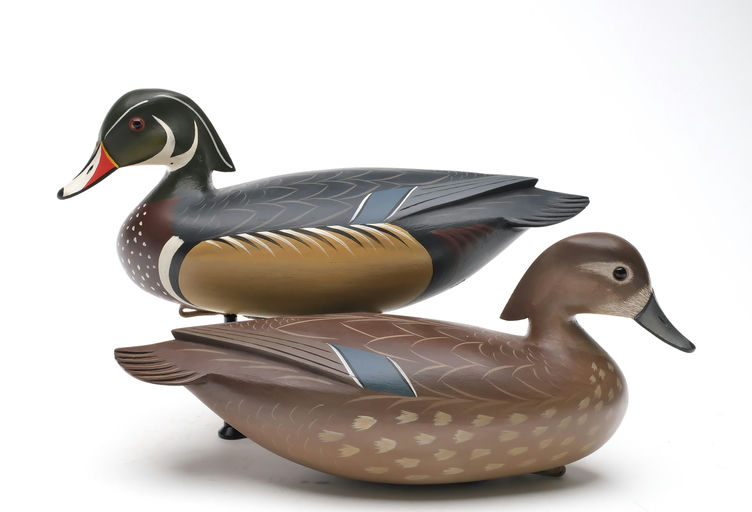 George Strunk – Pair of Wood Duck – 2026