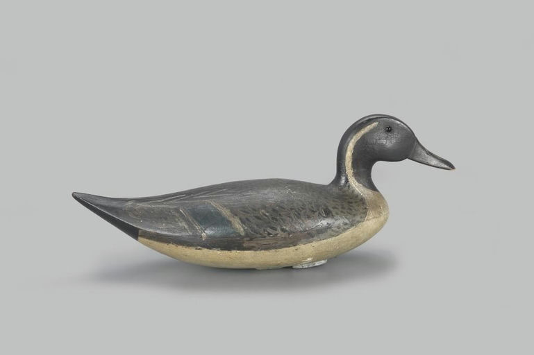 Andrew A. Tull – Important Pintail Drake – 2023