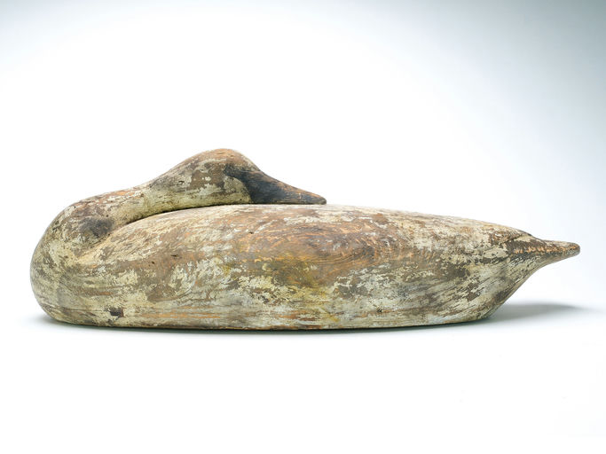 Reggie Birch – Swan – 2025