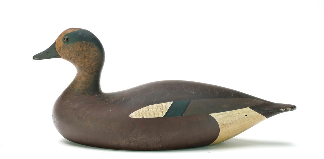 Joseph Lincoln – Wigeon – 2025