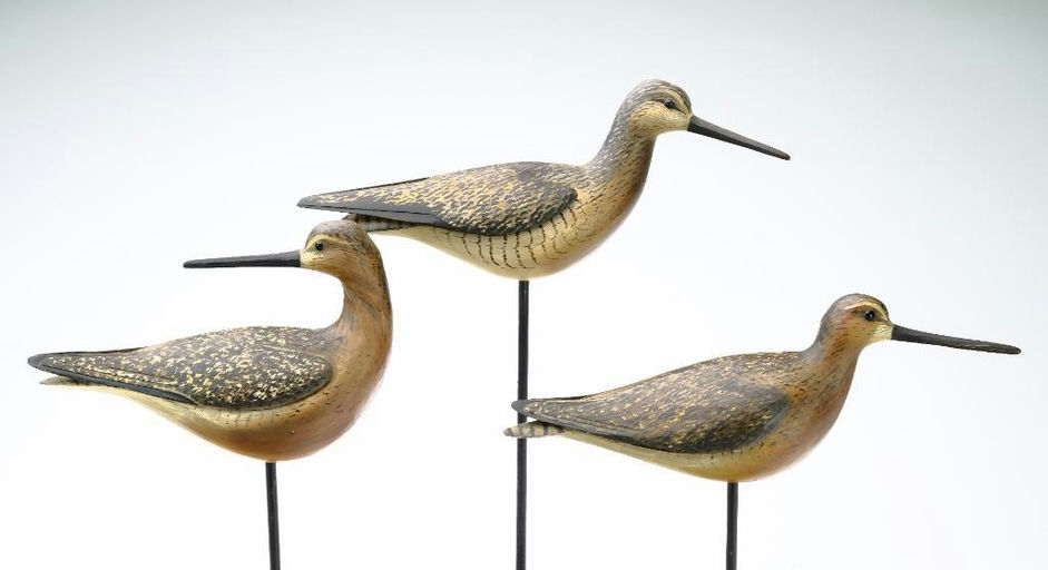 Bill Gibian – Dowitcher – 2023