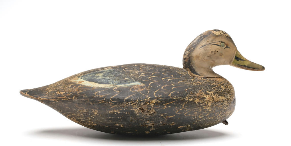Ira Hudson – Black duck – 2026