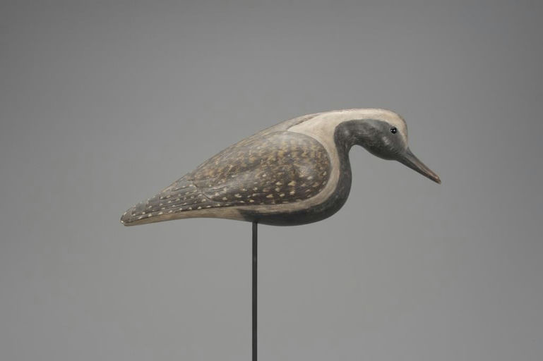 Charles Spiron – Feeding Golden Plover – 2018