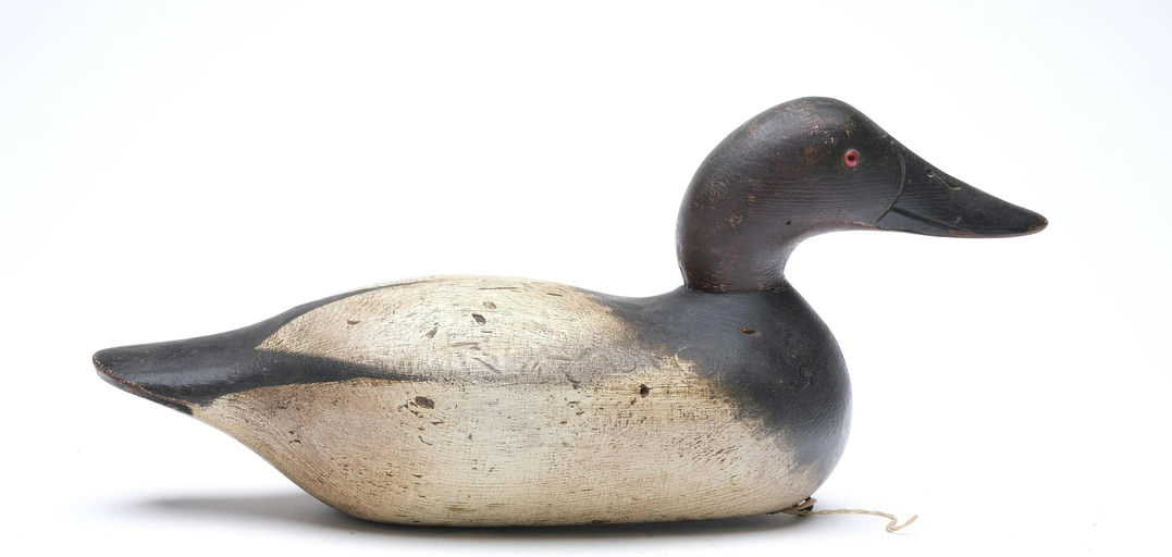 Mason Decoy Factory – Canvasback – 2026