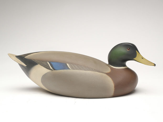 Oliver Lawson – Mallard – 2023