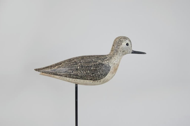 George Boyd – Plover in Winter Plumage – 2026